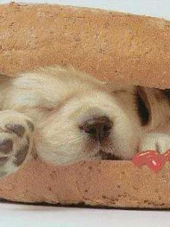 Other Wallpapers 0837